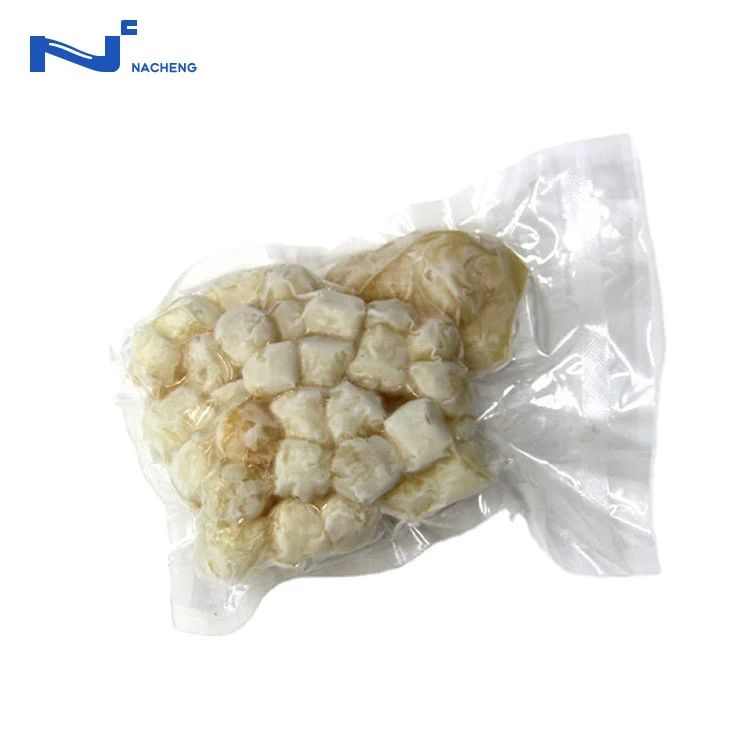 Saco de Vácuo para Alimentos Congelados